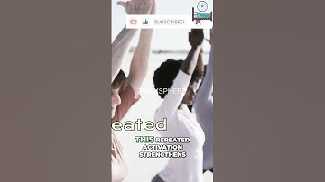 The Power of Synaptic Plasticity: Unlocking How We Learn