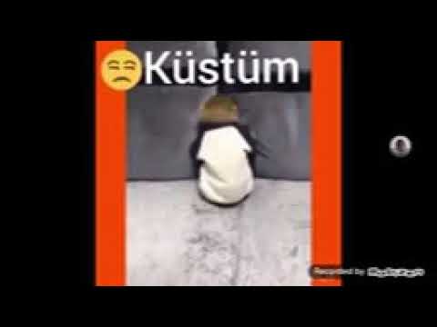 Küstüm maymun