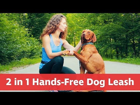 Hands Free Dog Leash For Medium And Large Dogs