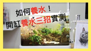 如何養水｜開缸養水實測｜養魚第一步 