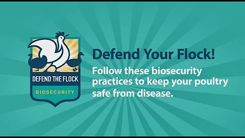 Defend the Flock - Biosecurity Practices to Protect Your Poultry