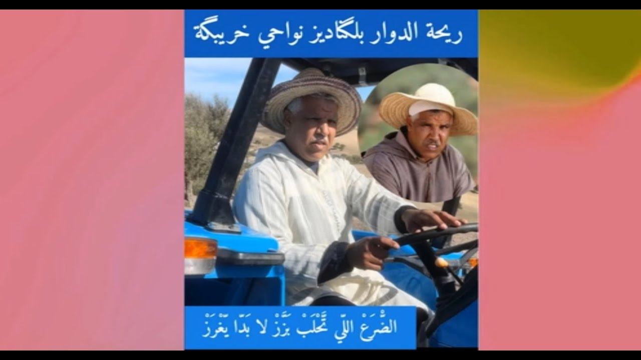 😂ريحة الدوار بلگناديز نواحي خريبگة     الضّْرَعْ اللِّي تَحْلَبْ بَزَّزْ لا بَدَّا يّغْرَزْ