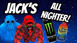 Jacks FIRST All Nighter In Animal Company… (Gone Wrong) 
