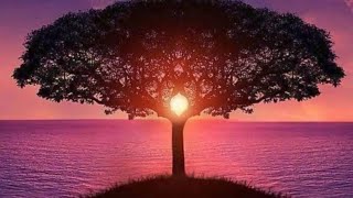 Why Over 20 Years I Still Look Into My Cards To Help Me Along My Path 