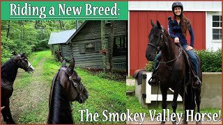 Riding A New Breed Discoverthehorse Episode 