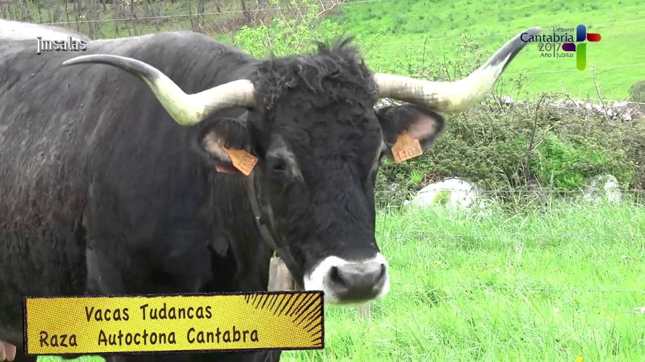 Camino Lebaniego, Ruta de Las Agüeras, Cantabria