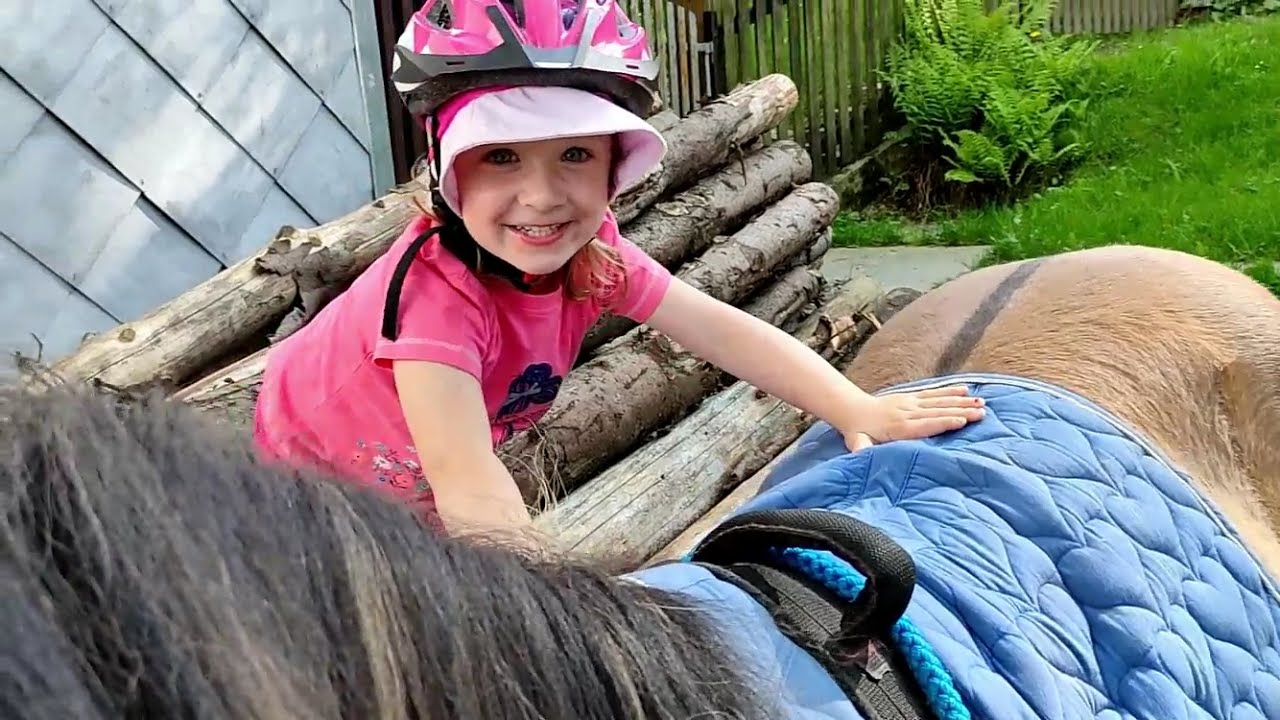 VLOG | Koníci mají novou mega ohradu