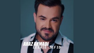 Lebas Sefid
