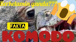 10 fakta hewan KOMODO #hewan #komodo