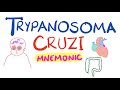 Trypanosoma Cruzi Mnemonic | Chagas Disease