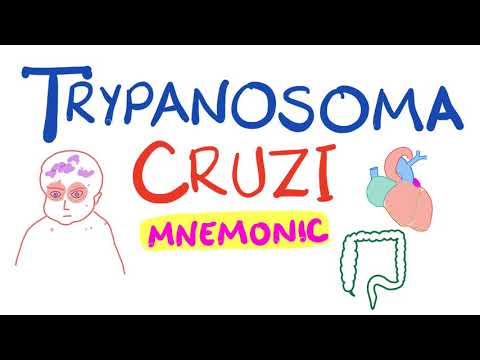 Video: „Trypanosome Cruzi“: Rūšys, Kaip Perduodama