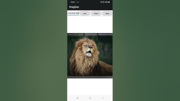 DragGan in Android APP —— Edit What You Want!
