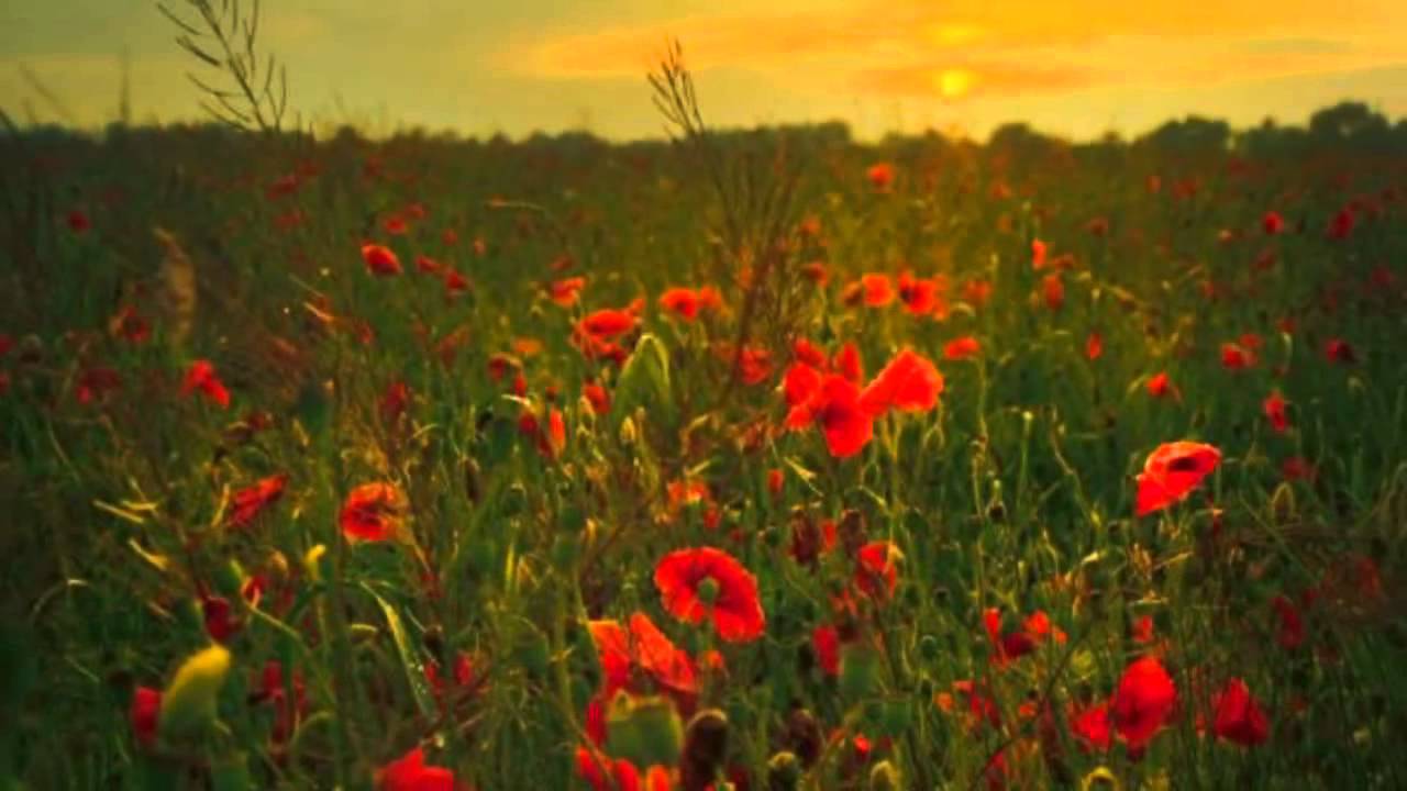 Zone of O by Esquire