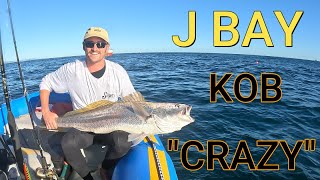 J Bay KOB CHAOS &amp; Great White Shark TAXATION