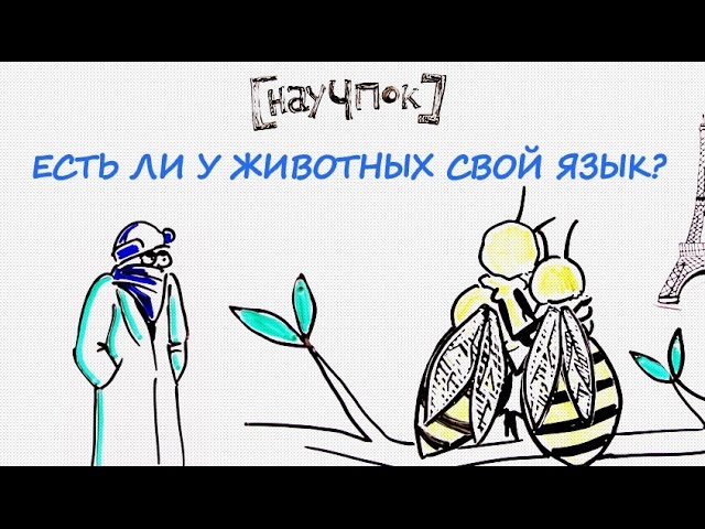 речевое общение животных