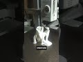 DAY -10 : BAMBU LAB A1 PRINTER (MAKING DECORATIVE ITEM WITH )
