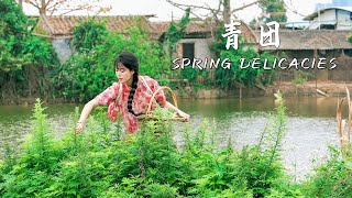 艾草青团 Mugwort Green Rice Balls 春天了一起去户外摘野菜吃来自大自然的礼物Summer Kitchen夏廚陳二十436