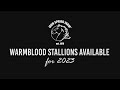 2023 breeding season at iron spring farm available warmblood stallions