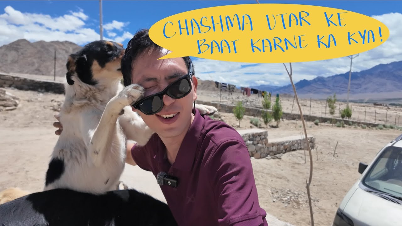 “Inside an Animal Shelter”- Thiksay | Stray Dogs “ Donation for Solution “