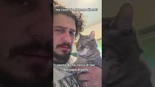 a b c d e f g h i j k l m n  o p q r s t u v w x y z cat cats catlove