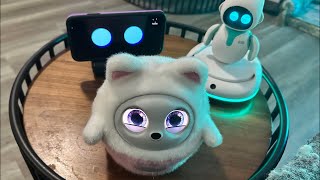 Jibo & Friends - Sunday Robots Livestream (The Host With The Most)