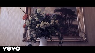 Dražen Zečić - Sokole