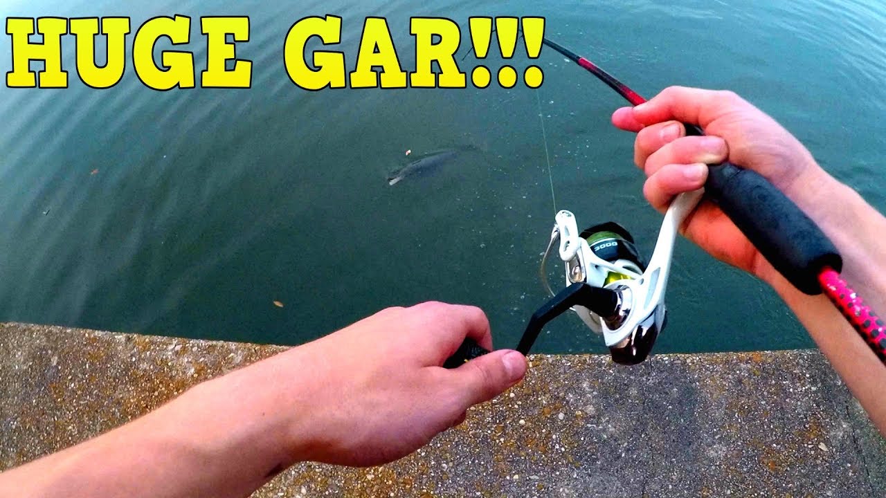 ALLIGATOR GAR FISHING In The Mississippi River!!! YouTube