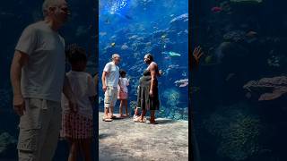 We took the kids to the aquarium and this happened!
