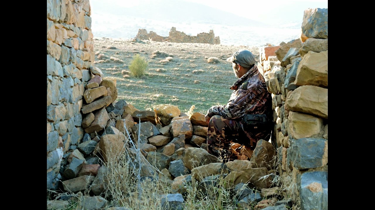 mani thilem de aissa brahimi