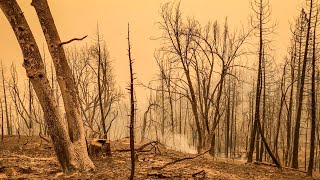 Creek Fire leaves path of destruction: Tuesday afternoon update