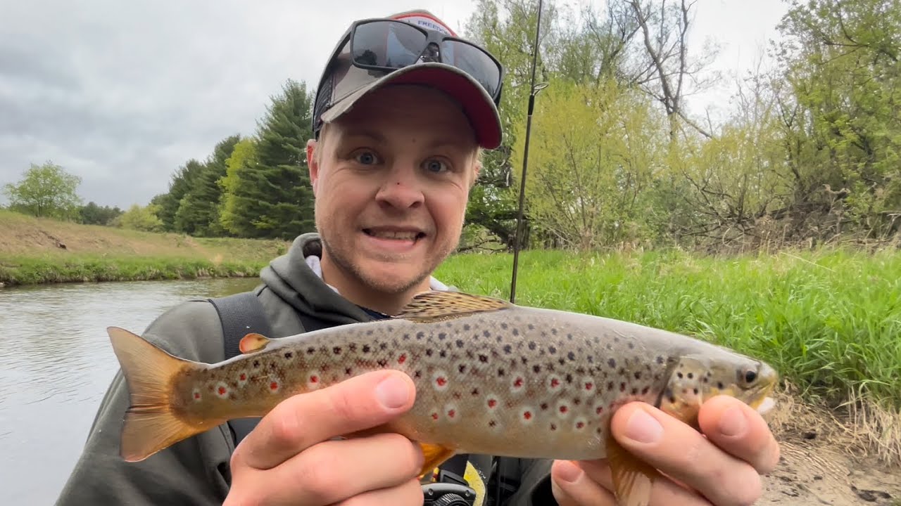 Throwing Rapalas For Trout! Aggressive Fish! Michigan Fishing YouTube