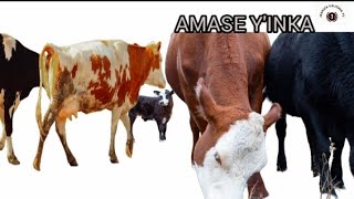 Download lagu :IRI BANGA NTA WUNDI UZARIKUBWIRA,AMASE AZATUMA UKUNDWA BITABAHO,KUBONA AKAZI NO KUMVWA CYANE