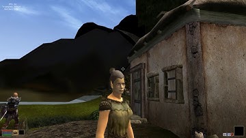 [POC] Seyda Neen - Morroblivion - landscape LOD and terrain textures