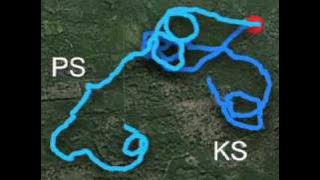 We can't help walking in circles