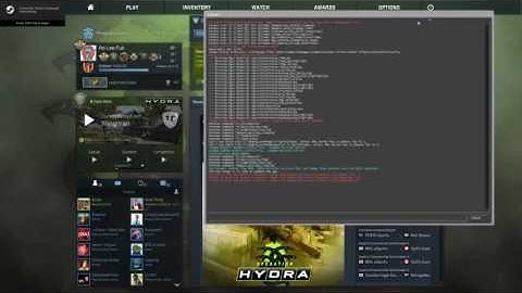 How to enable console in CS:GO