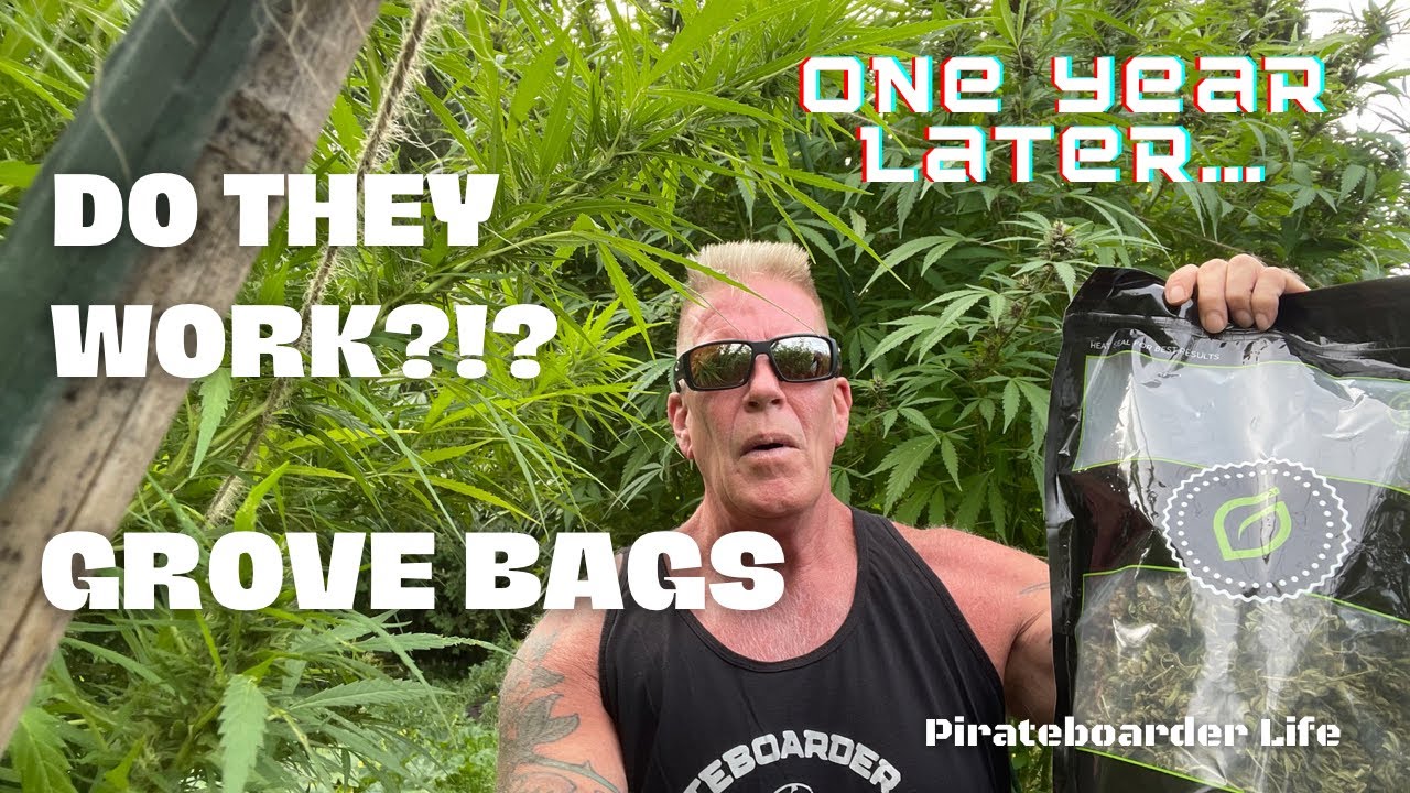 Grove Bags…Do They Work?!? One Year Later at the Love Shack YouTube