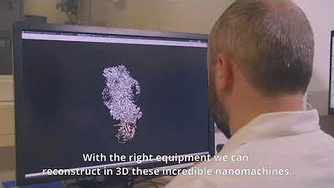 LF fellow 2020: Joseph Lyons studies how lipid imb...