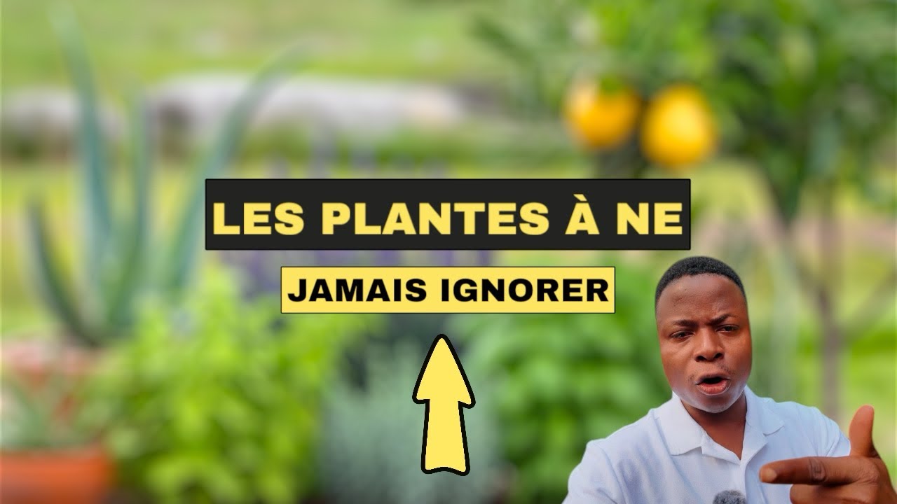 Les plantes indispensables dans une maison!