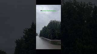 Ziynet Sali - Daha Nasıl Sevebilirim Resimi