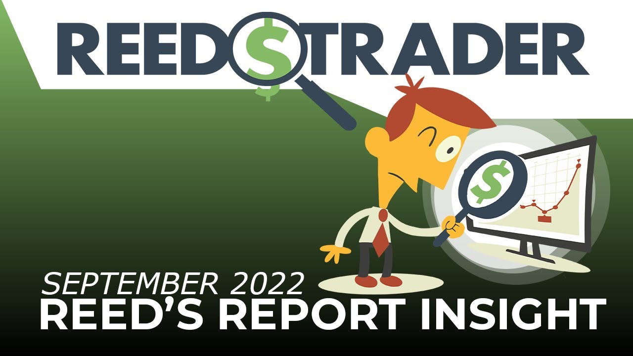 September 2022 - Reed's Report Insight