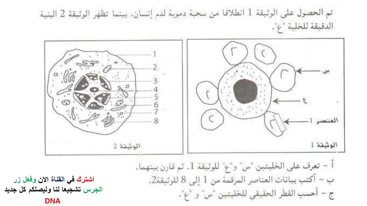 اختبار الفصل الثاني في العلوم الطبيعية للسنة الثانية ثانوي