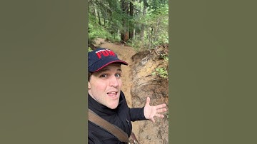 What if your terrain WAS the D&D encounter? #dnd