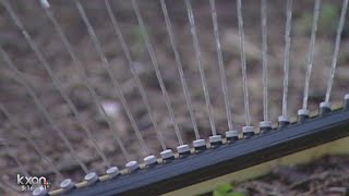 Council Member Ellen Troxclair requesting audit of Austin Water's meter readings