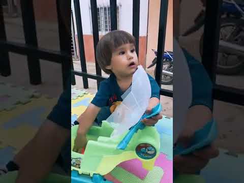 parodia vida de