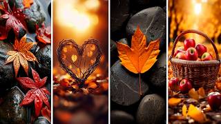 Latest  And New Wallpaper Photo | Hd Wallpapers | Mobile Phone Wallpapers | Wallpaper Collection screenshot 4