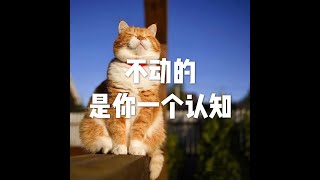 201903 不动的是你一个认知51091