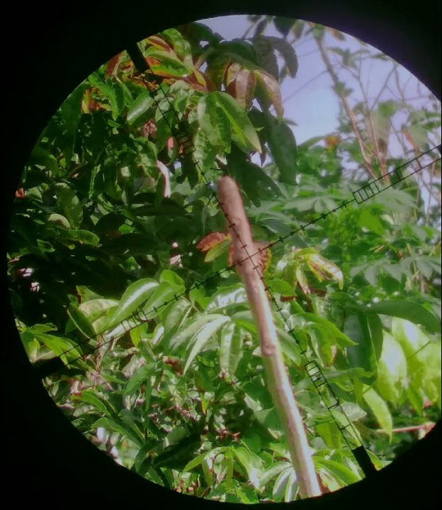Story WA Sniper...#storywa