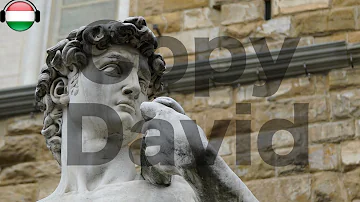 Quando è stato realizzato il David di Michelangelo?