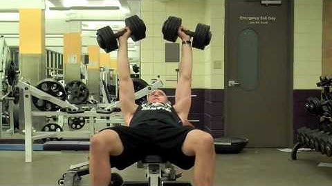 Self Made Exercise Index:  DB Incline Press