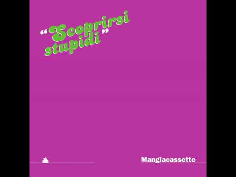 Scoprirsi Stupidi artwork